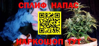 индика Рузаевка