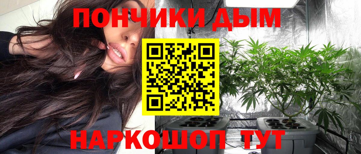 Конопля ГИДРОПОН Россошь